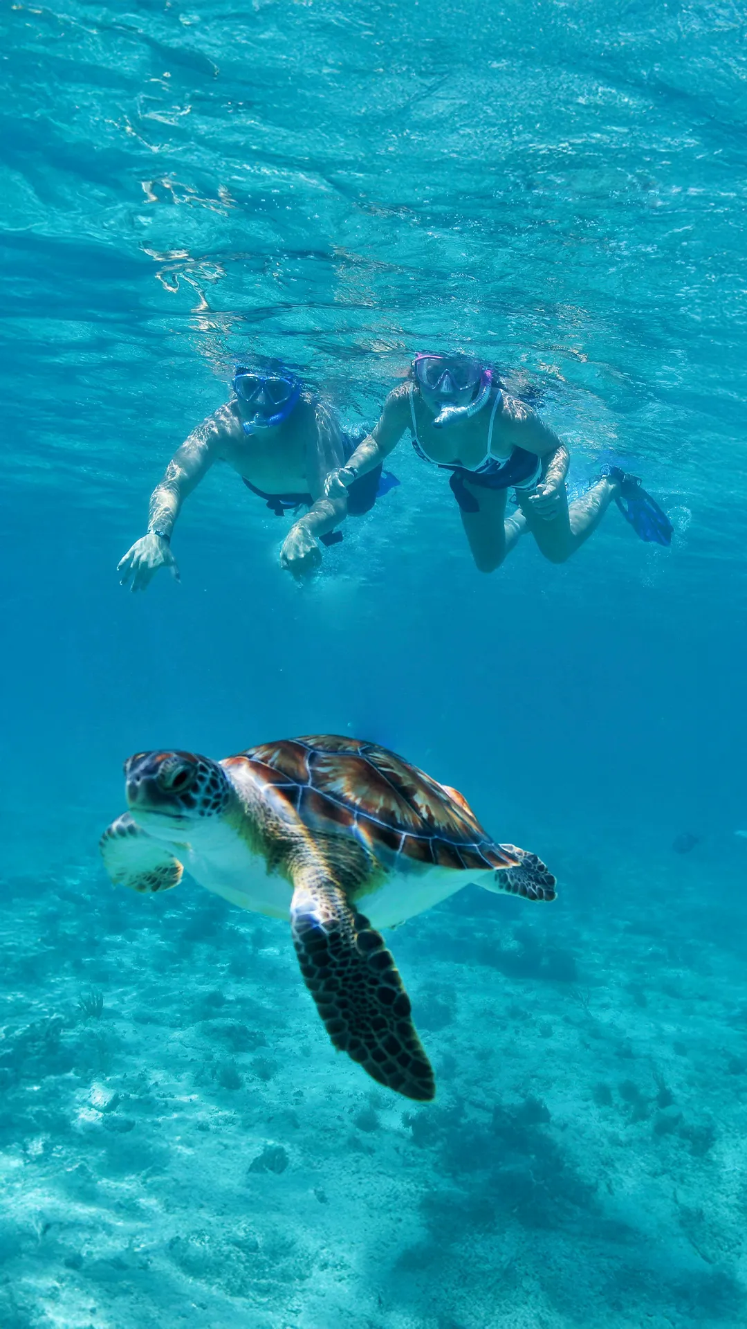 Actividades de buceo en la Riviera Maya