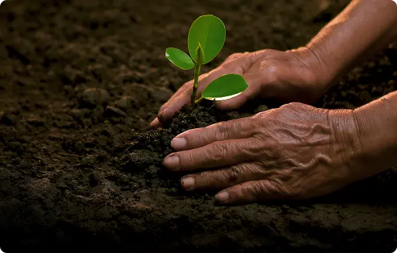 Actividades de responsabilidad social