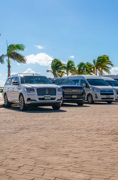 Transportación & Recepción